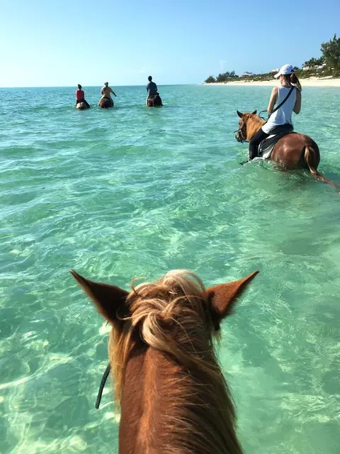 Balades à cheval
