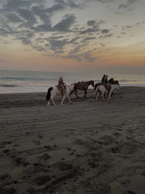 Balades à cheval
