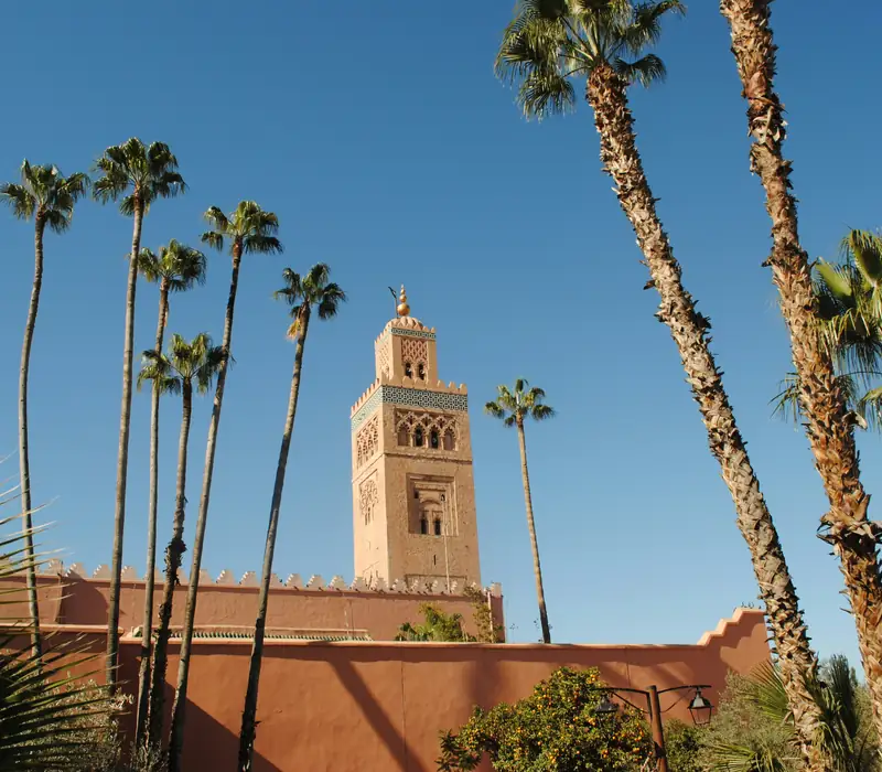 The Koutoubia minaret among palm trees, Marrakech